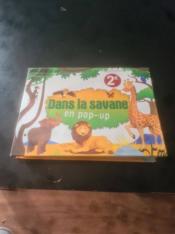 Dans la savane en pop-up - photo numéro 7