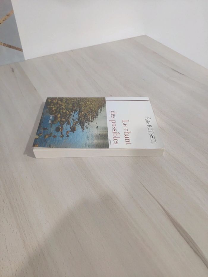 Livre Le chant des possibles Éric Roussel - photo numéro 4
