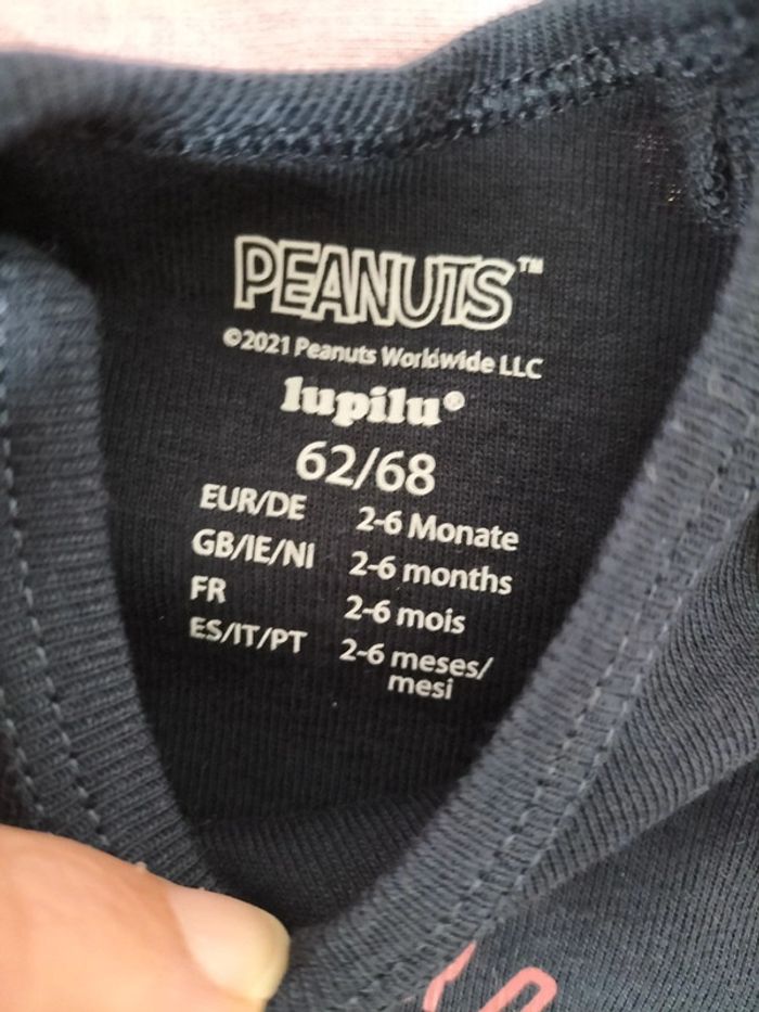 Lot bodys manches courtes - photo numéro 4