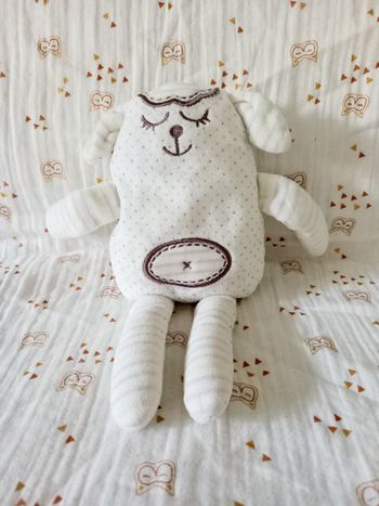 Doudou chien Brioche