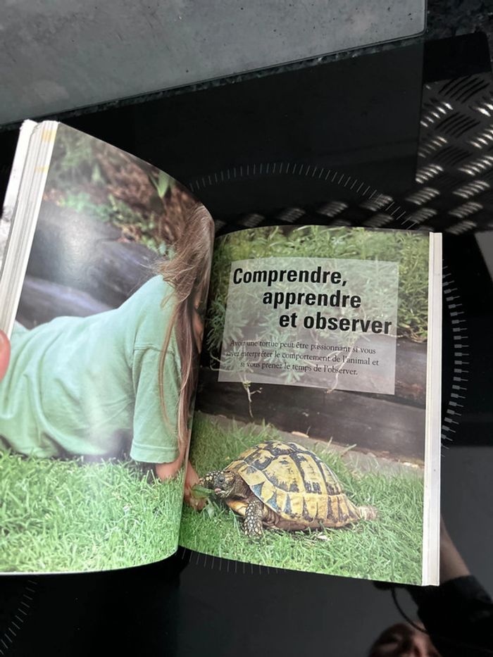 Livre La tortue Hartmut Wilke - photo numéro 3