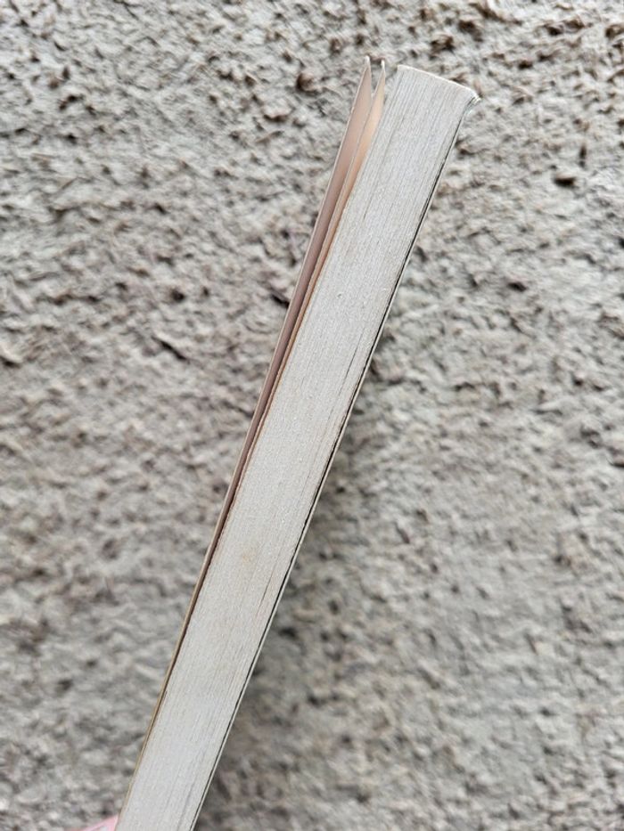 Roman jeunesse Un duo de rêve de Laure Constance- Cœur grenadine numéro 361 - photo numéro 3