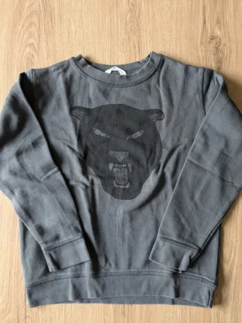 Sweat mango garçon