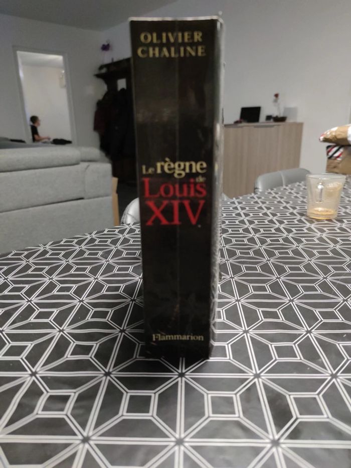 Le règne de Louis XIV - photo numéro 3