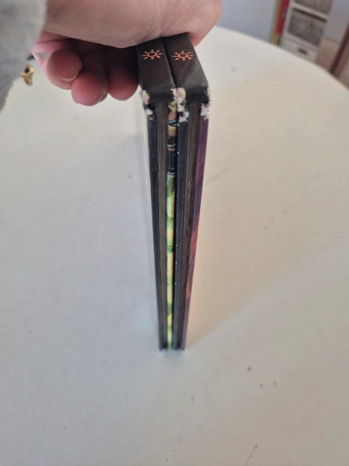 2 bd world of warcraft - photo numéro 2