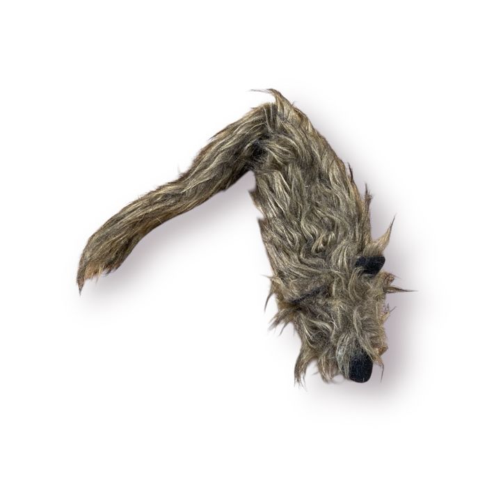 Amazon furet Jouet pour chat