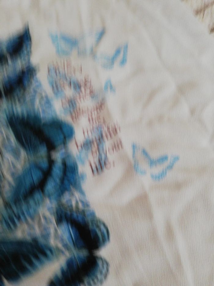T shirt papillon - photo numéro 3
