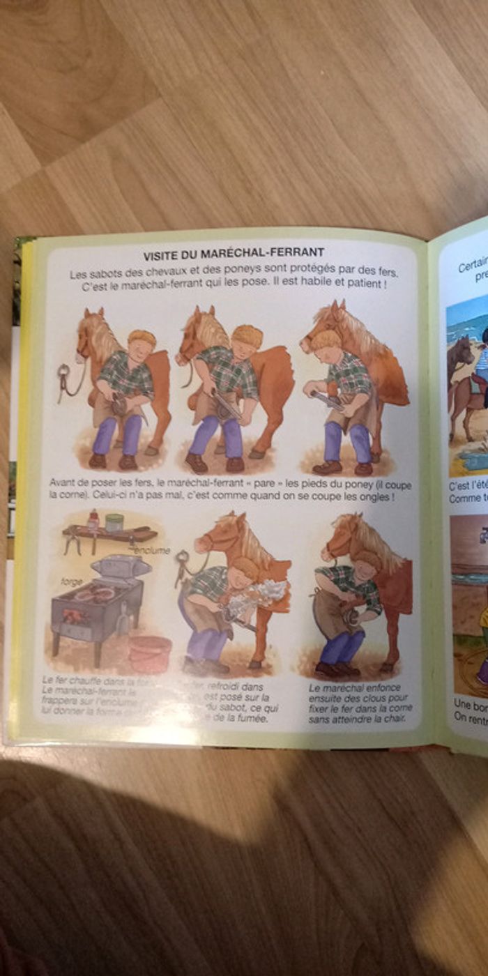 L'imagerie du poney et du cheval - photo numéro 3