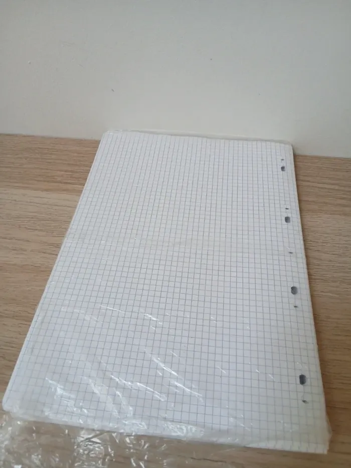 Lot 1 classeurs A4 + 2 paquets de feuilles petits carreaux - photo numéro 8