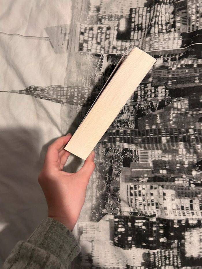 Livre reminders of him de colleen Hoover - photo numéro 5