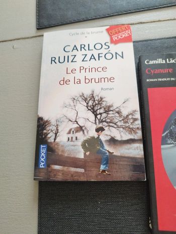 Deux romans cyanure et le prince de la brume