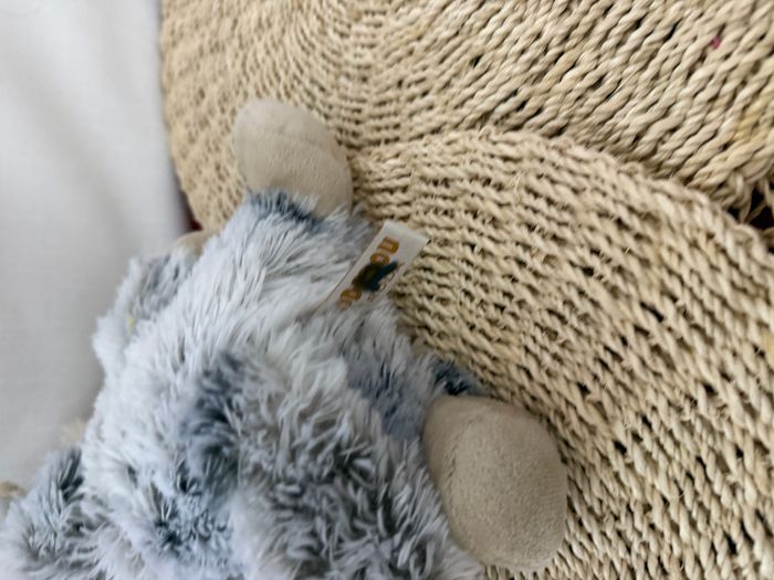 Doudou chien loup Husky Roda Rodadou - photo numéro 4