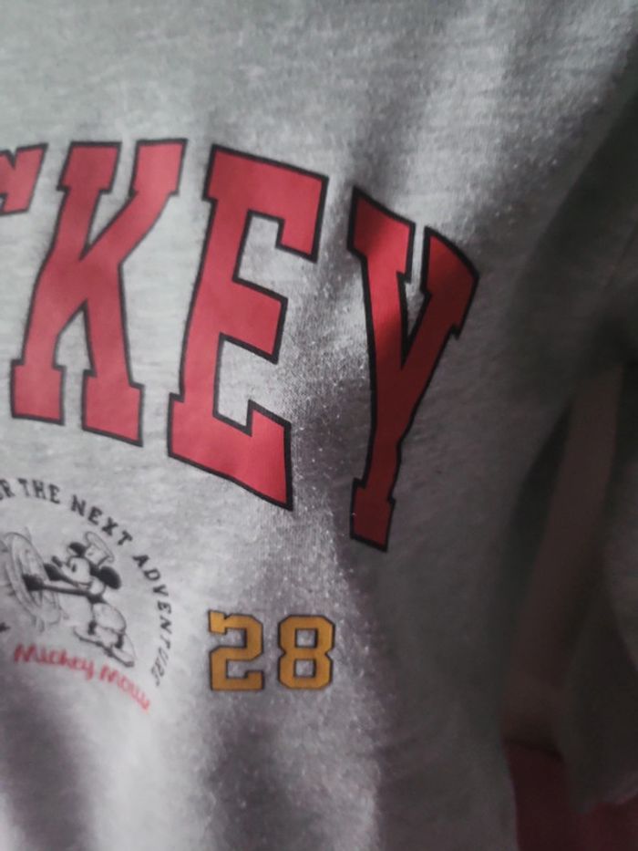 Pull mickey - photo numéro 3