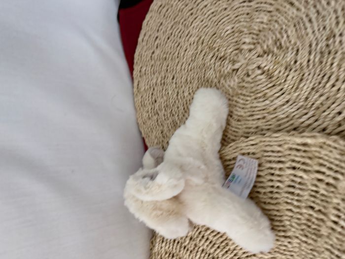 Doudou et compagnie lapin blanc gris taupe tout doux Bonbon - photo numéro 3