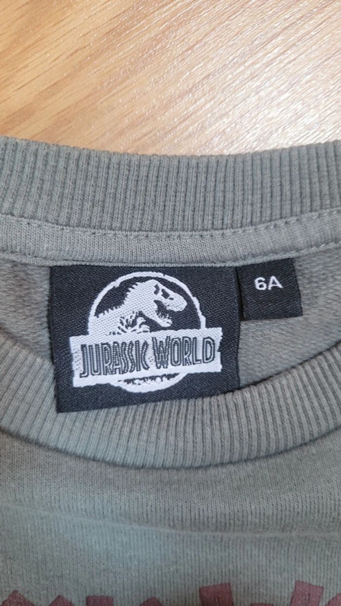 Pull garçon 👦 6A Jurassic World - photo numéro 2