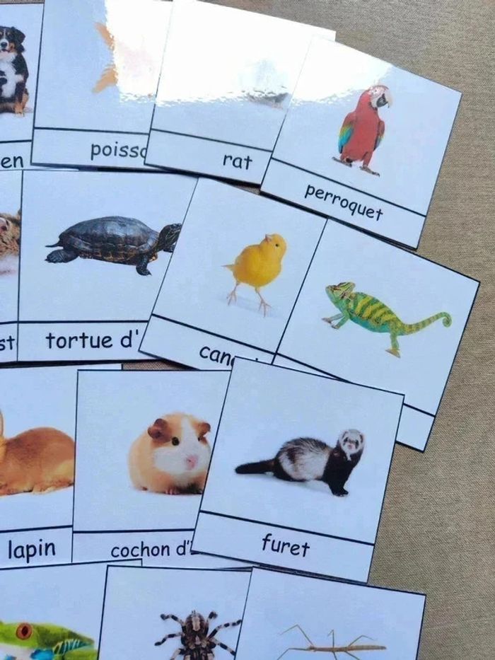 18 cartes de nomenclature des animaux domestiques - photo numéro 3