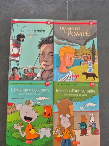 Lot de 4 Livres Enfant de la collection " La Bibliothèque De Ludo"