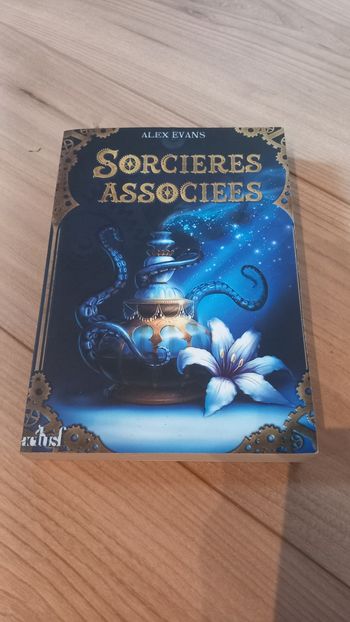 Livre Sorcières associées 