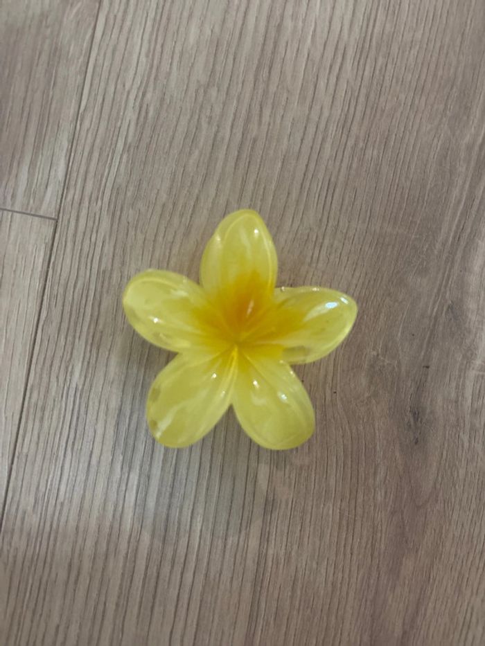 Grosse pince fleur