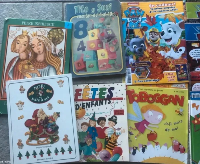 351 - Gros lot magazines livres - photo numéro 3