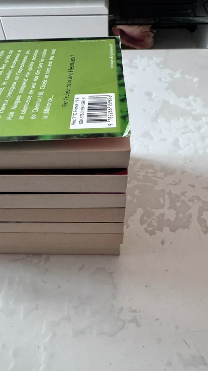 📚 Lot complet – Chestnut Hill – Tomes 1 à 9 – Lauren Brooke - photo numéro 6