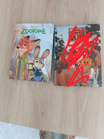 Livre Disney 