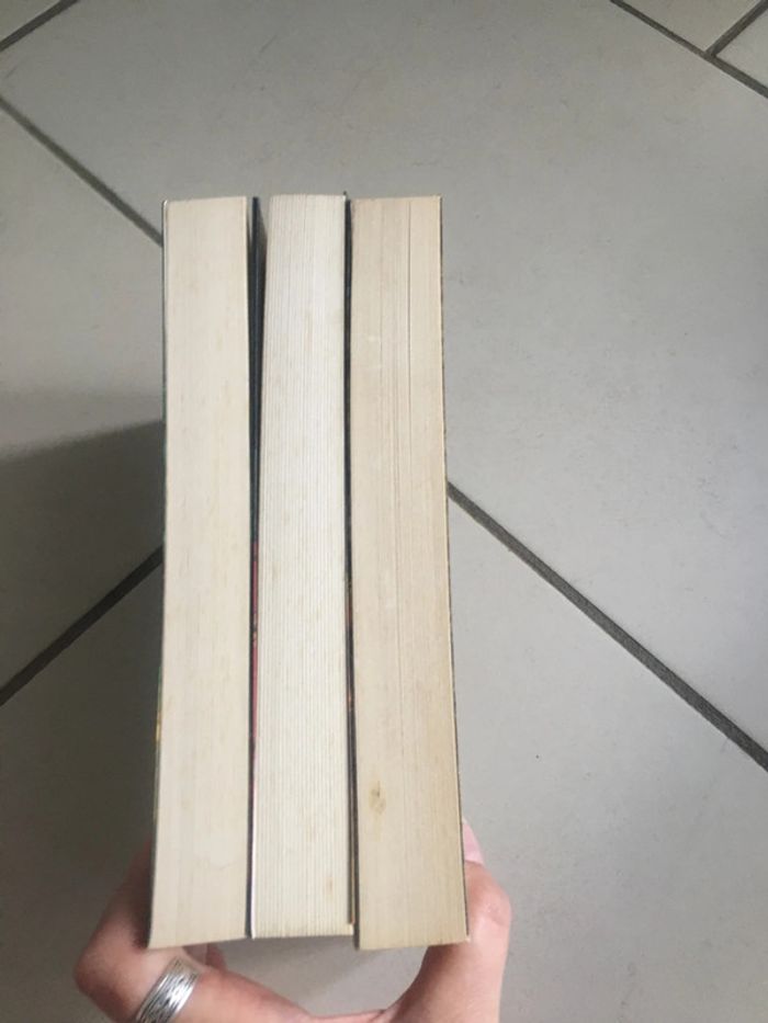 Livres Trilogie des Elfes Broché : Le crépuscule, la nuit et l’heure - photo numéro 4