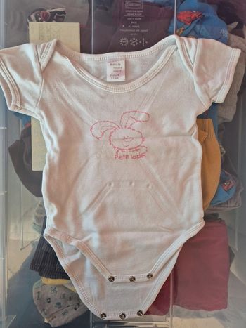 Bodie manche courte petit lapin