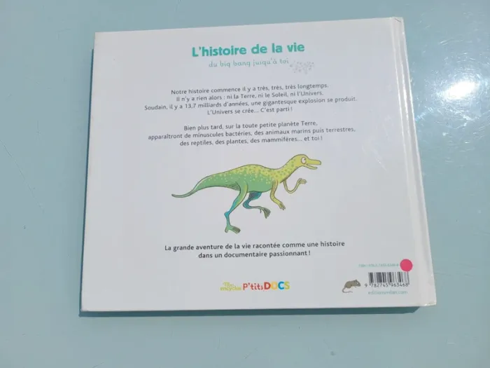 Mes encyclos P'tits Docs, grand format 📜 L'Histoire de la vie, du big bang jusqu'à toi🗿 - photo numéro 8