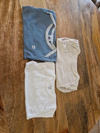 3 bodys manches courtes