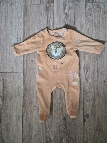 Pyjama lion