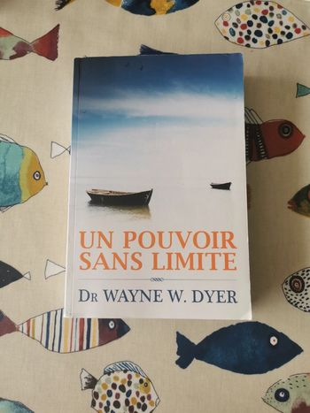 Un pouvoir sans limite