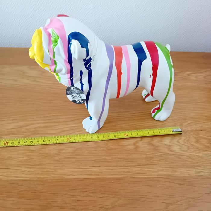 Bouledogue - photo numéro 4