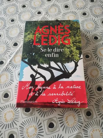 Agnès Ledig Se le dire enfin
