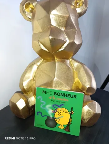 Livre monsieur madame. Madame bonheur et la sorcière