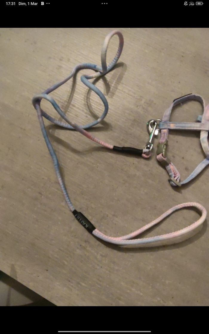 Harnais et laisse - photo numéro 2