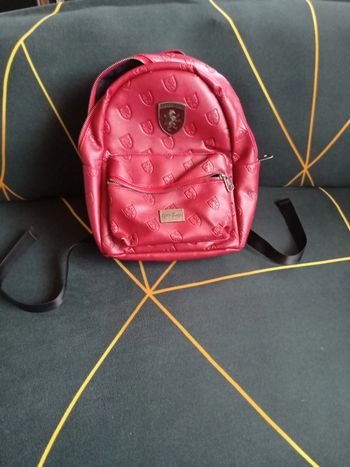 Sac Harry Potter