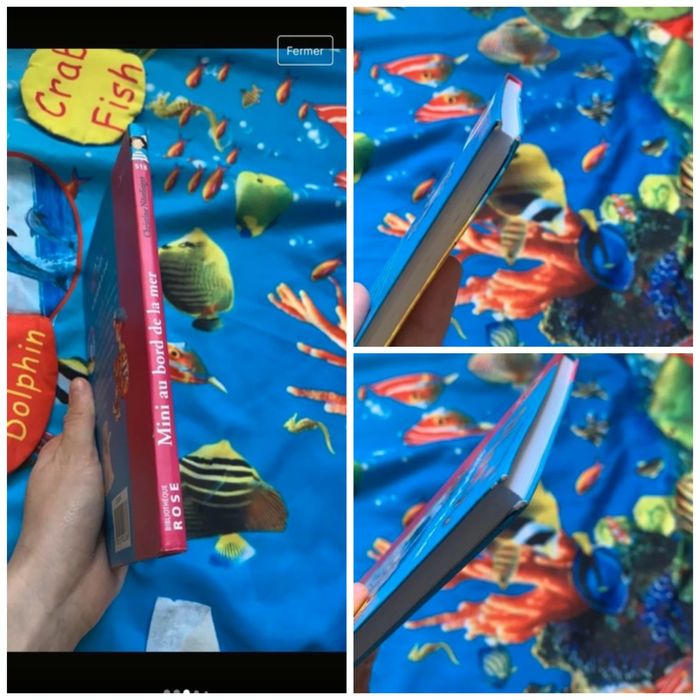 Livre mini - photo numéro 4