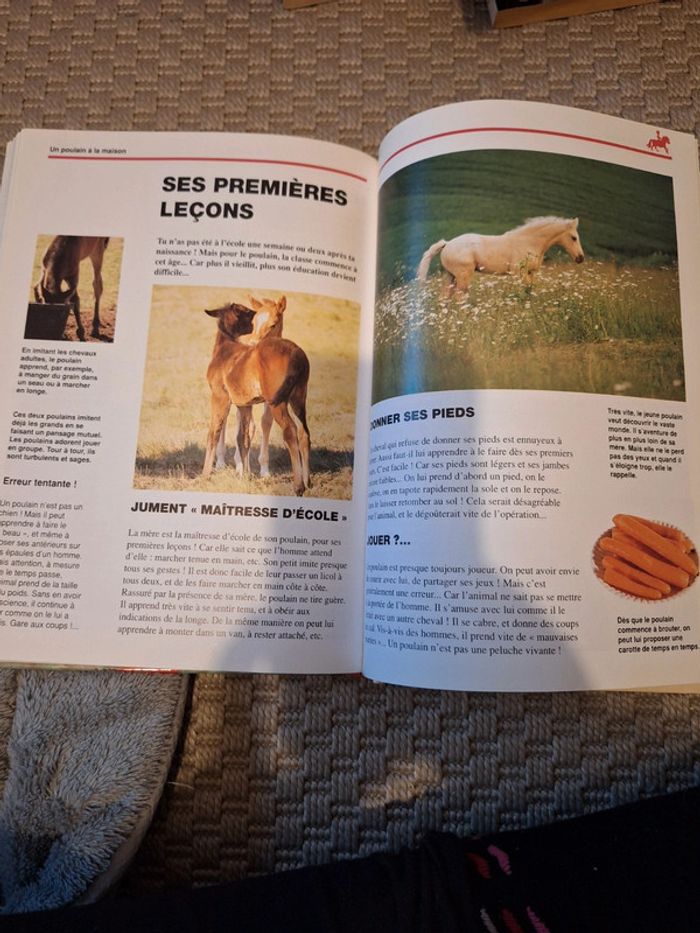 Livre - photo numéro 5