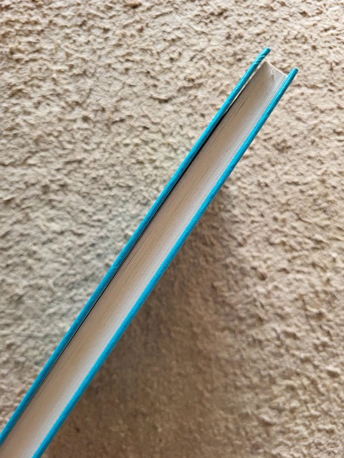 Jules empaille d'Hélène Tournaire – Roman noir / Thriller psychologique - photo numéro 3