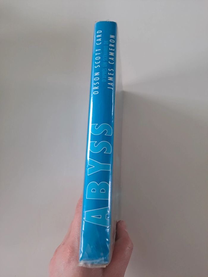 Abyss - photo numéro 5