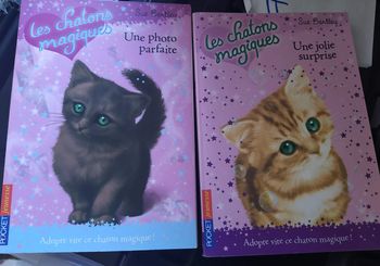 Lot Les Chatons magiques
