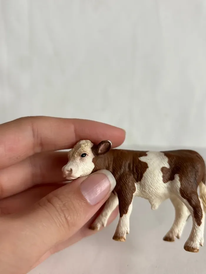 Veau Schleich - photo numéro 3