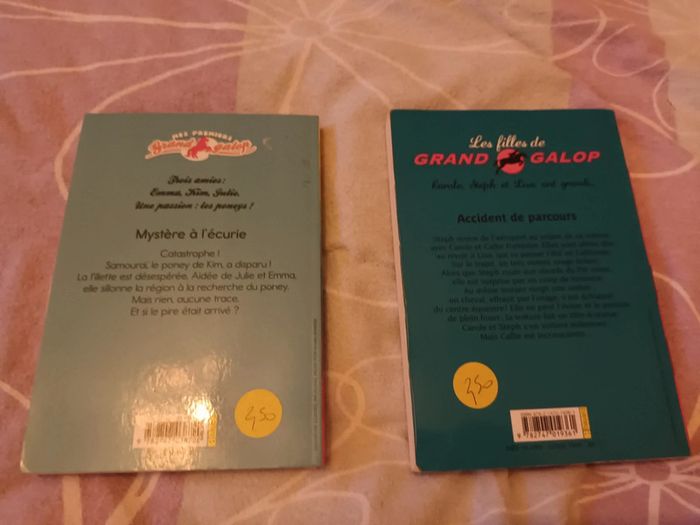 Lot de 2 livres grand galop - photo numéro 4