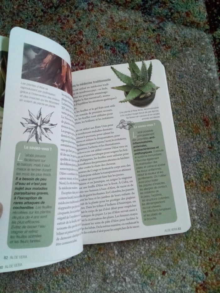 Aromathérapie aloe Vera fleurs de Bach - photo numéro 9