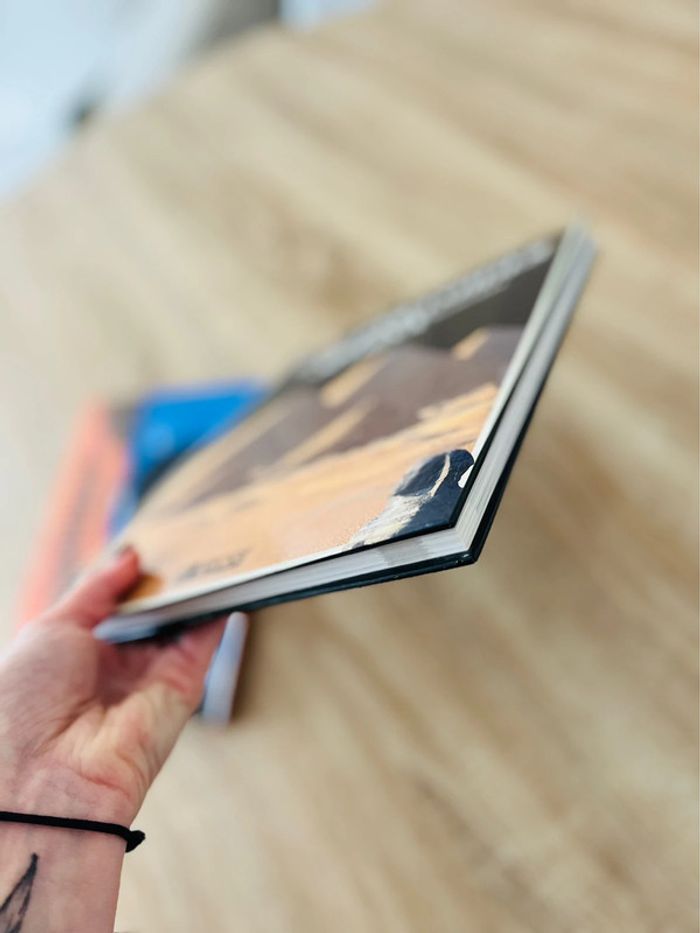 Lot de 2 livres égyptiens et pyramides - photo numéro 6