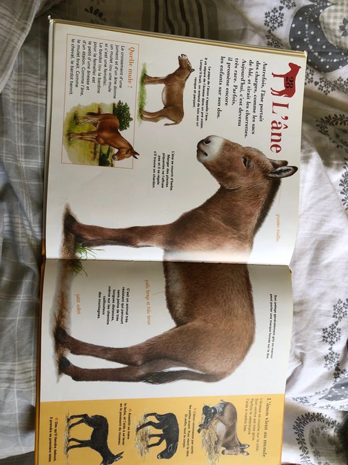 Livre enfant animaux de la ferme - photo numéro 3