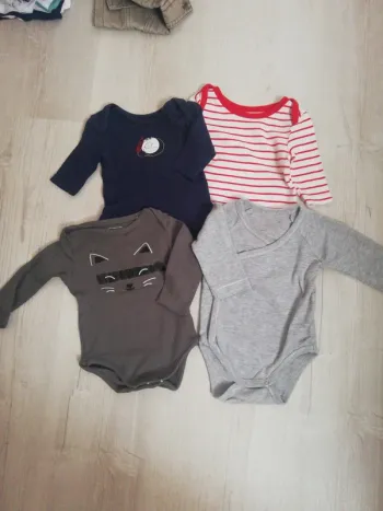 Lot 4 bodies