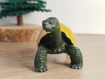 Safari Tortue de terre figurine animal de la ferme