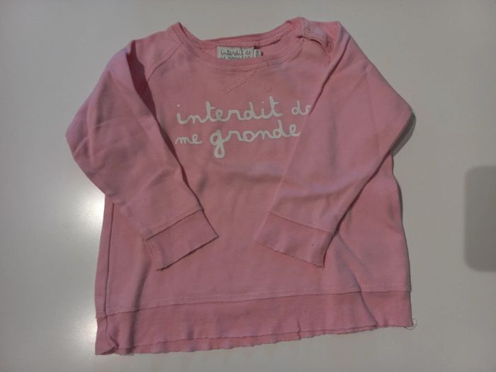 Sweat 18 mois Interdit de me gronder - photo numéro 2